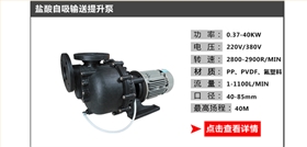鹽酸輸送提升泵 鹽酸輸送提升泵