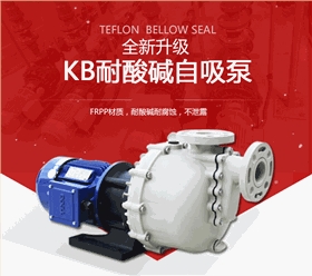 耐腐蝕塑料自吸泵 塑料耐腐蝕自吸泵