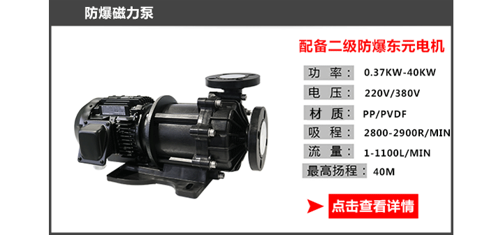 防爆泵_07 防爆泵_07