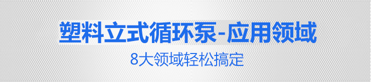 塑料立式循環(huán)泵5 塑料立式循環(huán)泵5