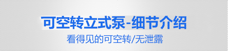 1KPT立式泵細節介紹 1KPT立式泵細節介紹