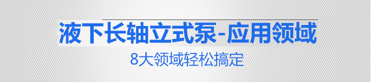 國寶KPL立式泵_08