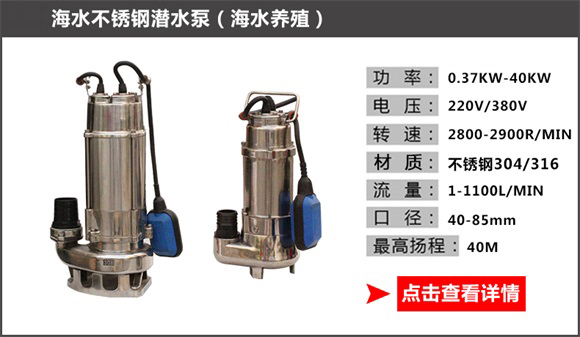 海水不銹鋼潛水泵(海水養殖) 海水不銹鋼潛水泵(海水養殖)
